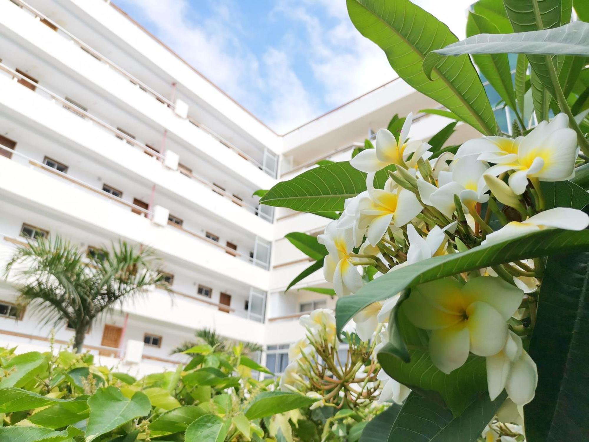 Las Camelias 215 By Pride Holiday Rentals Maspalomas  Exterior photo