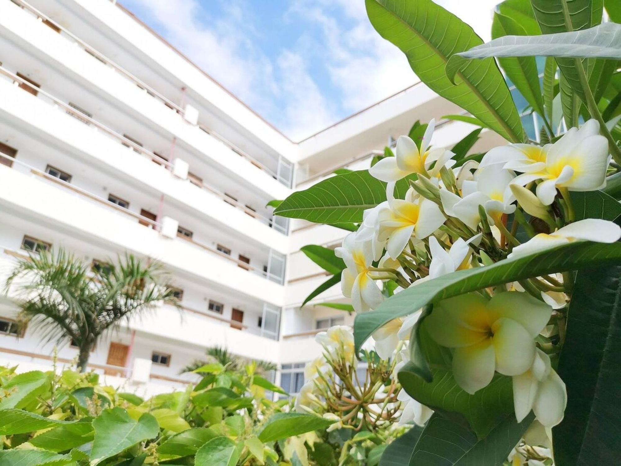 Las Camelias 215 By Pride Holiday Rentals Maspalomas  Exterior photo